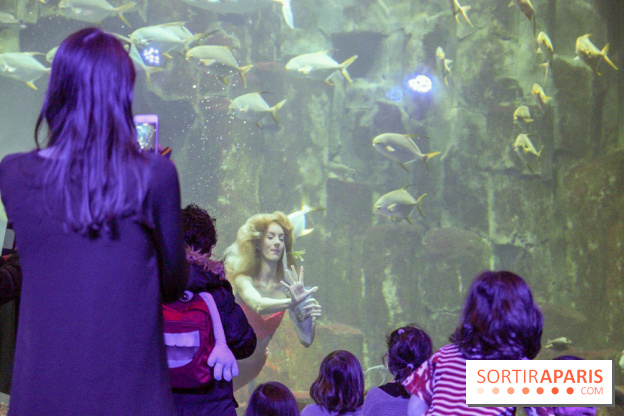 Les 60 ans de LEGO® à l'Aquarium de Paris