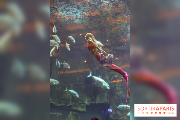 Les 60 ans de LEGO® à l'Aquarium de Paris