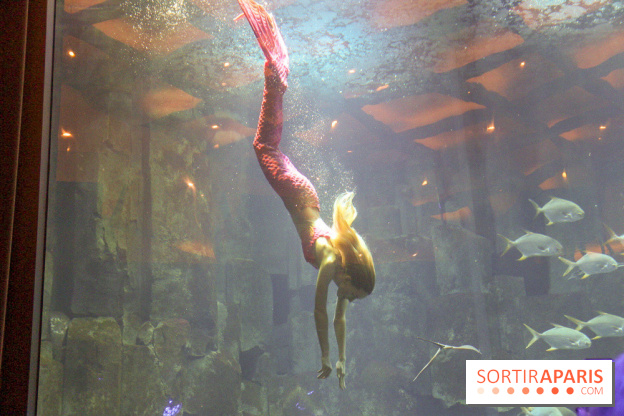 Les 60 ans de LEGO® à l'Aquarium de Paris