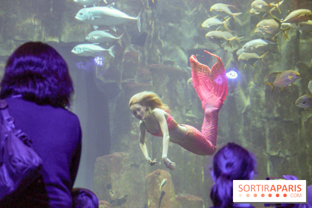 Les 60 ans de LEGO® à l'Aquarium de Paris