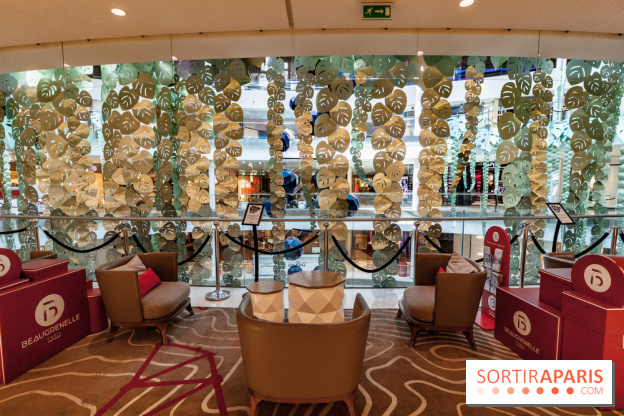 Exposition Monstera Dubia à Beaugrenelle