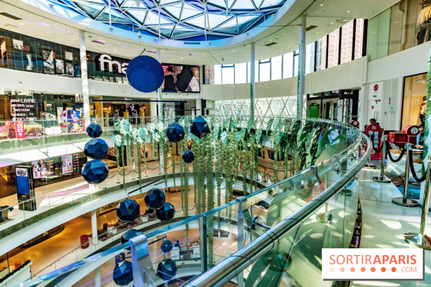 Exposition Monstera Dubia à Beaugrenelle