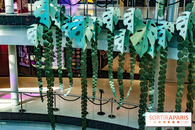 Exposition Monstera Dubia à Beaugrenelle