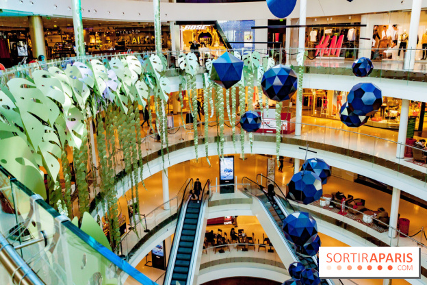 Exposition Monstera Dubia à Beaugrenelle