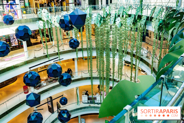 Exposition Monstera Dubia à Beaugrenelle