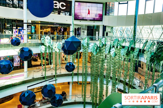 Exposition Monstera Dubia à Beaugrenelle