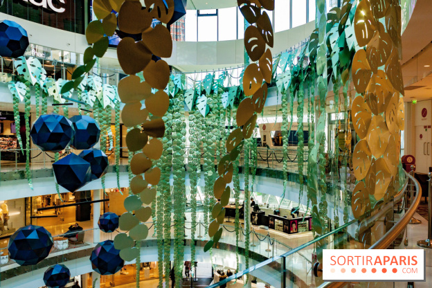 Exposition Monstera Dubia à Beaugrenelle