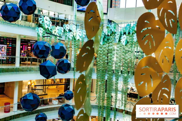 Exposition Monstera Dubia à Beaugrenelle