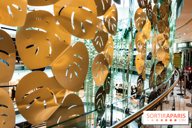 Exposition Monstera Dubia à Beaugrenelle