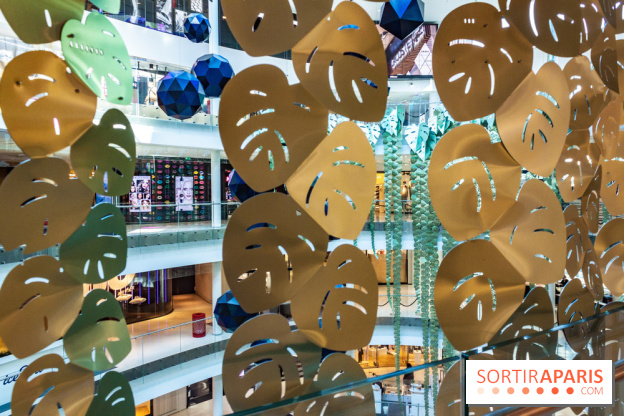 Exposition Monstera Dubia à Beaugrenelle