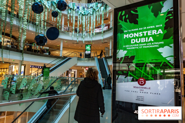 Exposition Monstera Dubia à Beaugrenelle