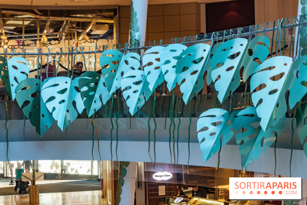 Exposition Monstera Dubia à Beaugrenelle