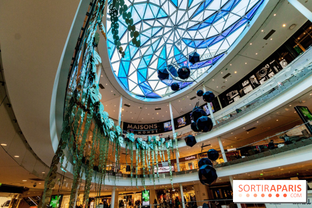 Exposition Monstera Dubia à Beaugrenelle