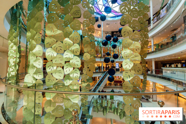 Exposition Monstera Dubia à Beaugrenelle