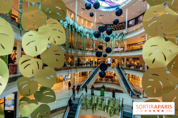 Exposition Monstera Dubia à Beaugrenelle