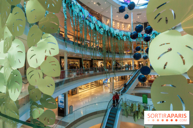 Exposition Monstera Dubia à Beaugrenelle