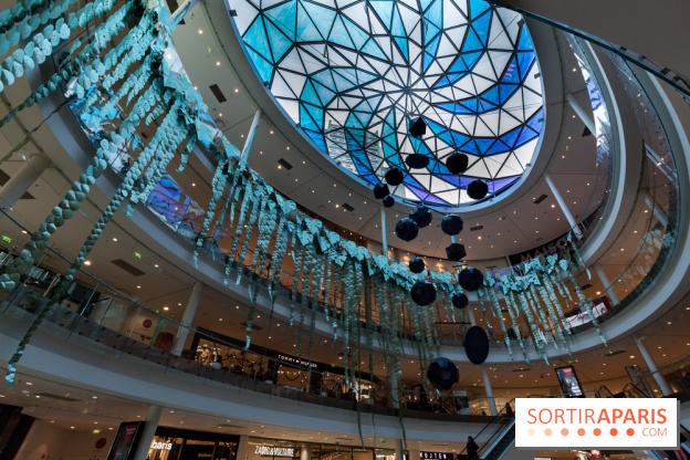 Exposition Monstera Dubia à Beaugrenelle