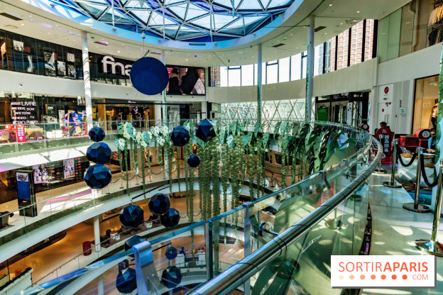 Exposition Monstera Dubia à Beaugrenelle