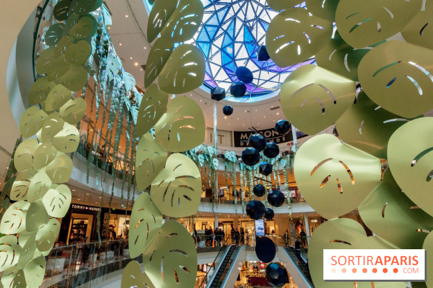 Exposition Monstera Dubia à Beaugrenelle