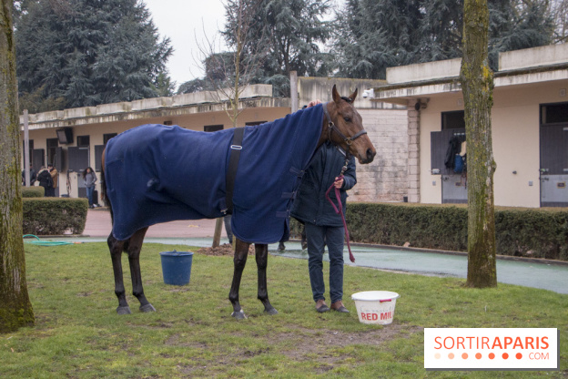 Les Dimanches au Galop 2018