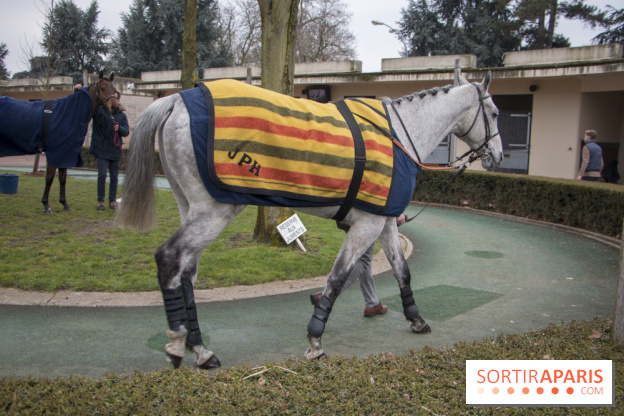 Les Dimanches au Galop 2018