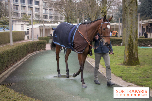 Les Dimanches au Galop 2018