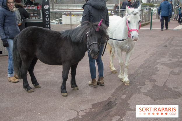Les Dimanches au Galop 2018