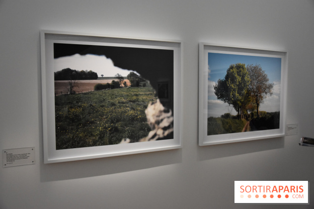 Transphère #5, nos photos de l'exposition de Tomoko Yoneda à la Maison de la Culture du Japon