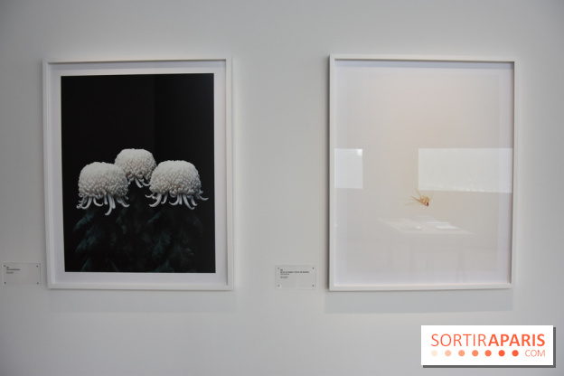 Transphère #5, nos photos de l'exposition de Tomoko Yoneda à la Maison de la Culture du Japon