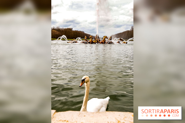 Les Grandes Eaux Musicales 2018 au Château de Versailles