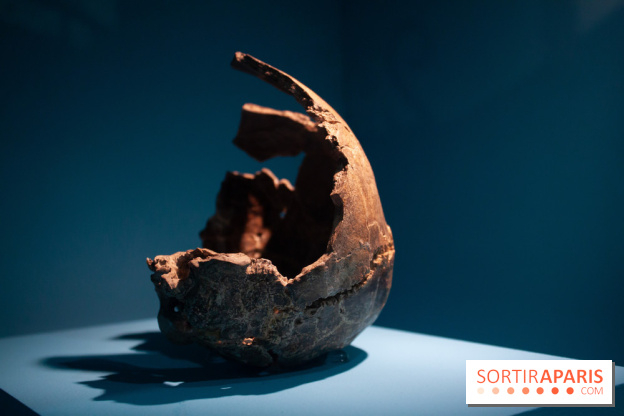 Exposition Néanderthal au Musée de l'Homme