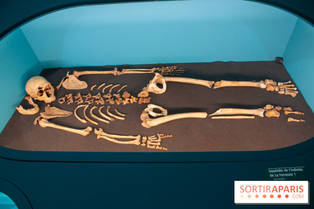 Exposition Néanderthal au Musée de l'Homme