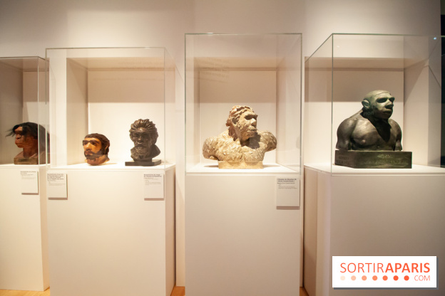 Exposition Néanderthal au Musée de l'Homme