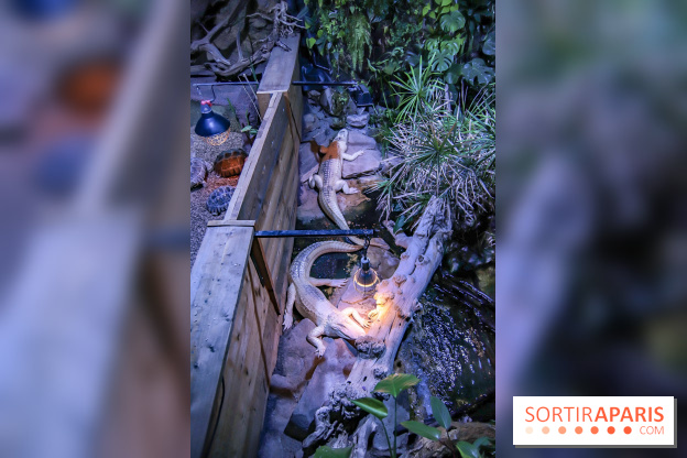 L'Aquarium de la Porte Dorée se renouvelle
