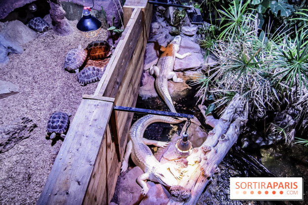 L'Aquarium de la Porte Dorée se renouvelle