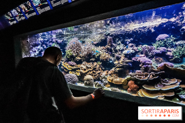 L'Aquarium de la Porte Dorée se renouvelle