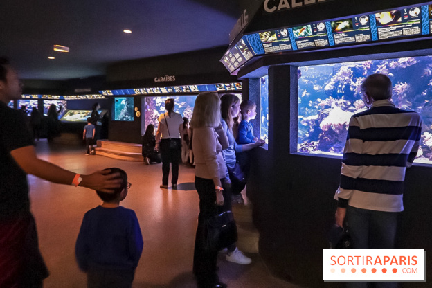 L'Aquarium de la Porte Dorée se renouvelle