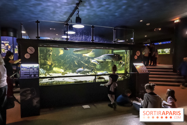 L'Aquarium de la Porte Dorée se renouvelle