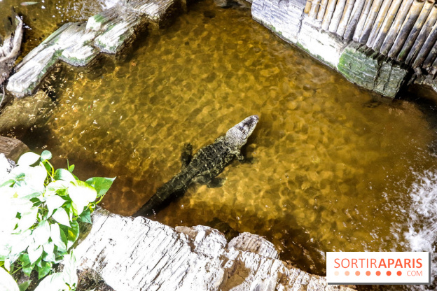 L'Aquarium de la Porte Dorée se renouvelle