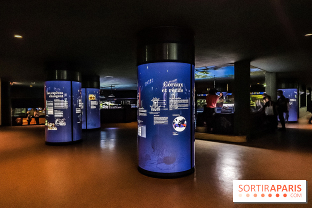 L'Aquarium de la Porte Dorée se renouvelle