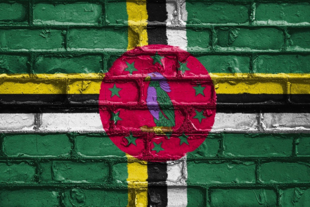 JO de Paris 2024 : Les médailles d'or, d'argent et de bronze de Dominique aux Jeux Olympiques