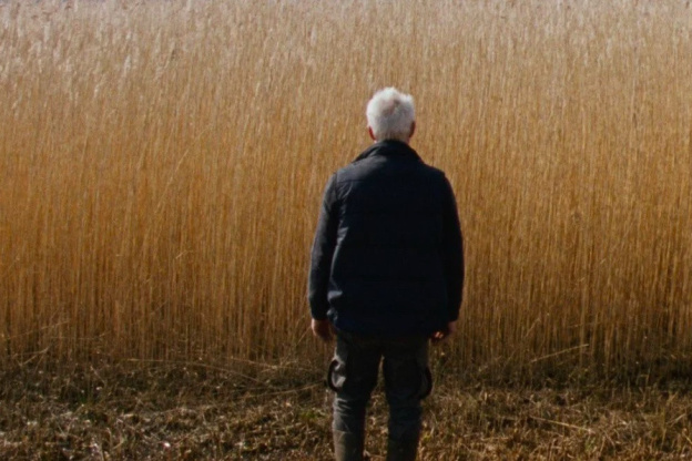 Rietland (Reedland) de Sven Bresser, en sélection à la Semaine de la Critique 2025