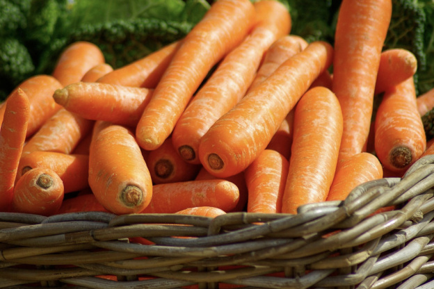 La Cueillette de Compans, remplir son panier de produits frais en Seine-et-Marne (77)