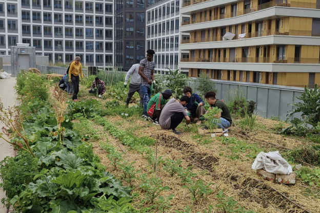 Eva Kotchever, le potager perché sur le toit d'une école qui se cultive à Paris