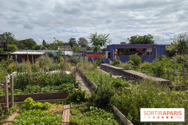 Terre Terre, la ferme-guinguette qui pousse au bord du canal à Aubervilliers (93)