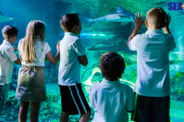 Sea Life lance des billets couplés avec le Parc des Félins et Terre de Singes