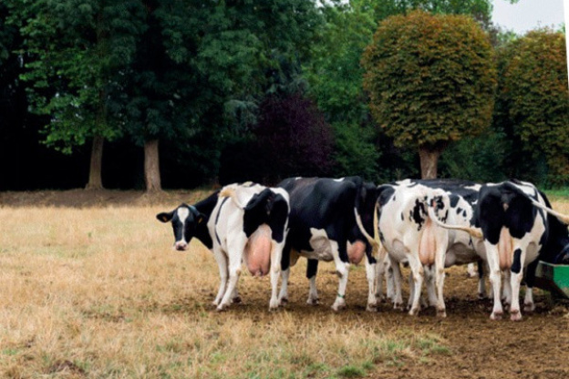 Festival Sortons l'Agriculture du Salon 2019