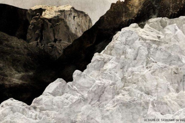 Cinéma du Réel 2019 : des courts-métrages pour les enfants projetés au Luminor