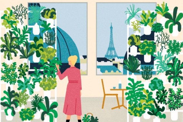 Un mur végétal comestible installé au Printemps du Goût