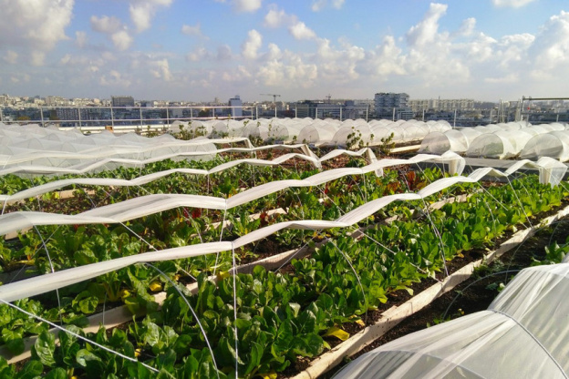 De la bière fabriquée sur les toits des hôtels Mercure Tour Eiffel et Montmartre